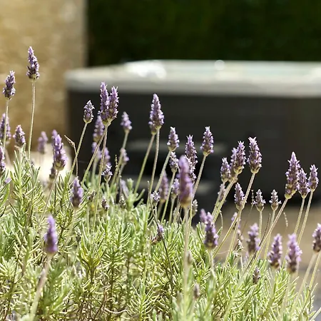 Apartment Martello Garden *