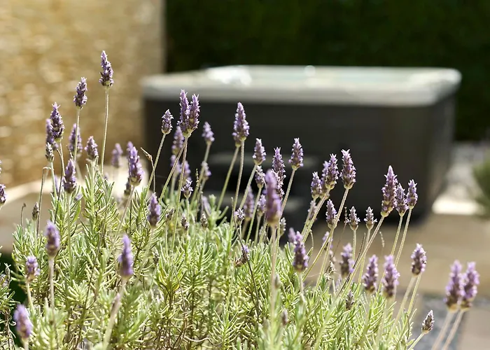 Lejlighed Martello Garden *