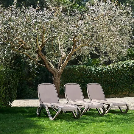 Martello Garden *